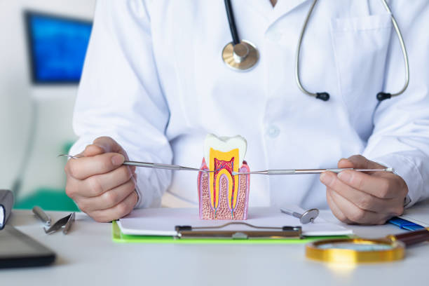 Best Emergency Dentist for Knocked-Out Tooth in Sac City, IA